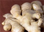Grow it yourself: Ginger