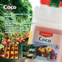 Coco Leaflet