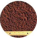 Coir: Common forms and applications