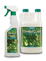 CANNACURE Coming Soon