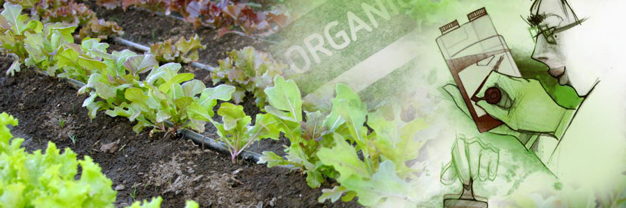 The Organic Certification Paradigm