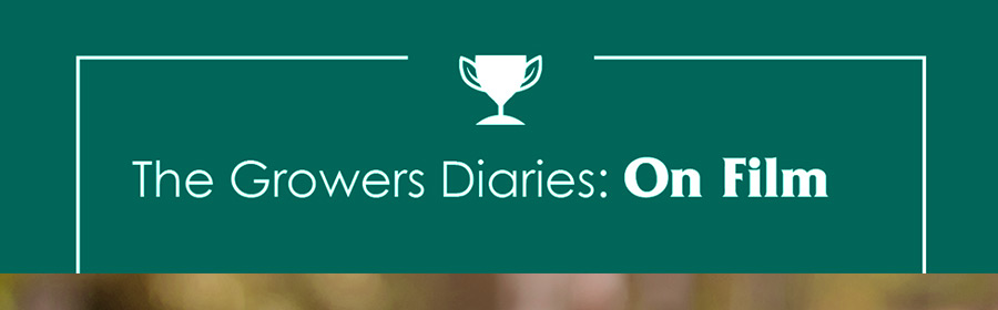 The Growers Diaries: Growers