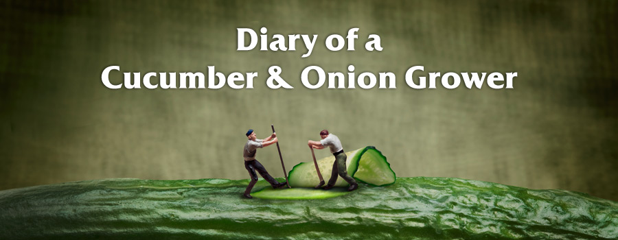 Campaign: Diary of a cucumber & onion grower