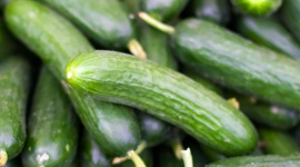 Grow it yourself: Cucumber