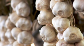Grow it yourself: Garlic