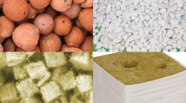 Rock wool and other inert substrates