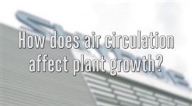 How does air circulation affect plant growth?