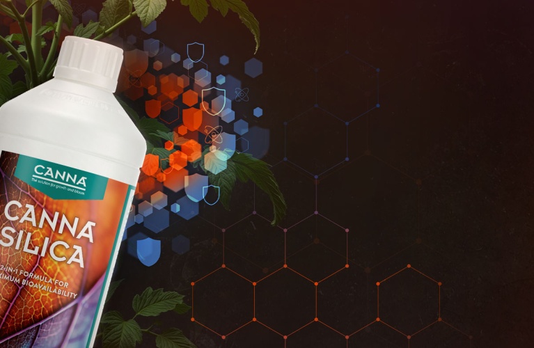 Shield your Plants, secure your yields