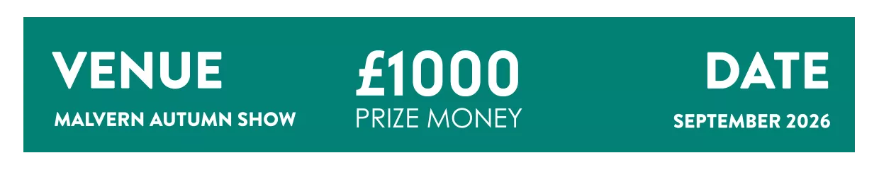 Heavyweight Title Fight is back