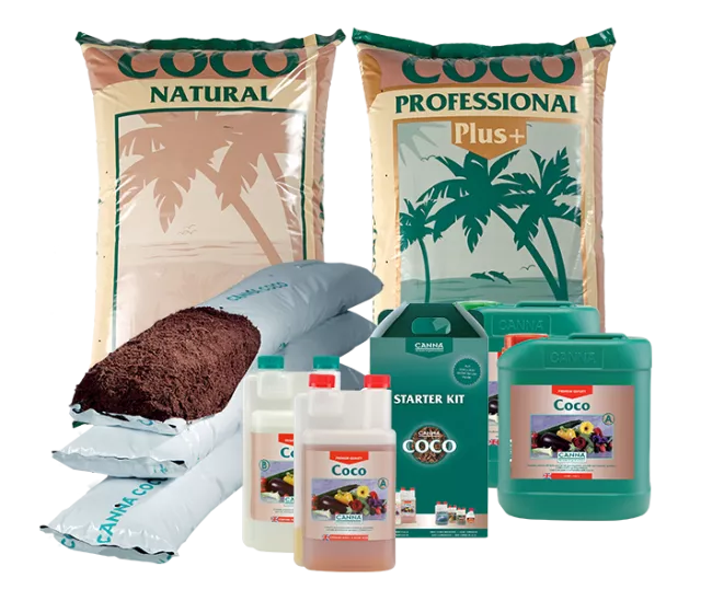 CANNA COCO