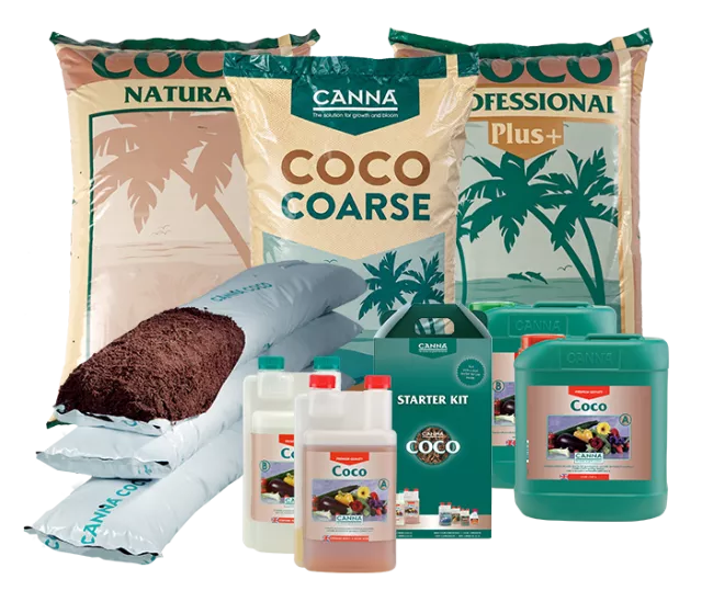 CANNA COCO