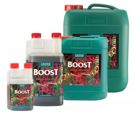 CANNABOOST Accelerator