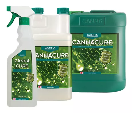 CANNACURE
