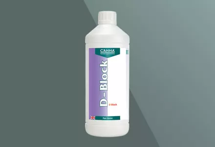 CANNA D-Block