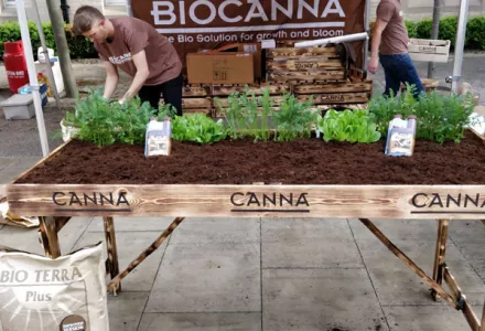 BIOCANNA & Viva! Vegan Festivals in the UK