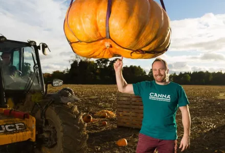 Diary of a pumpkin grower