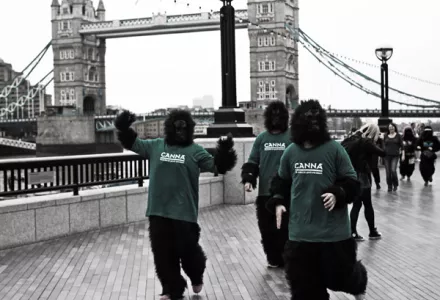 CANNA supported the Great Gorilla Run