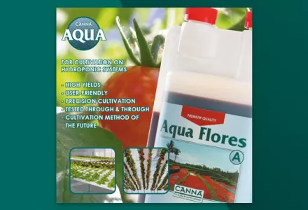 CANNA TERRA Leaflet
