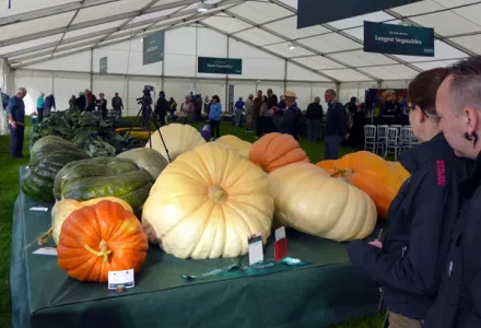 Malvern Autumn Show 2016