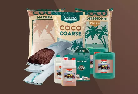 CANNA COCO