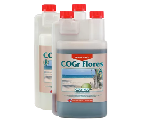 CANNA COGr Flores