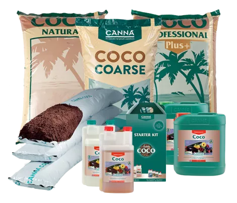 CANNA COCO